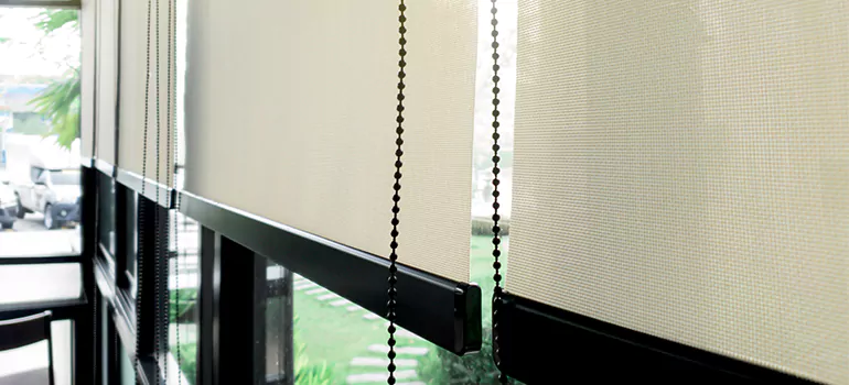 Blackout Window Shades in Weston, FL