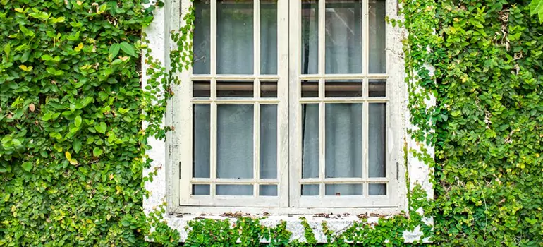 Garden Window Repair Near Me in Weston, FL