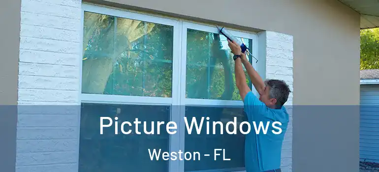  Picture Windows Weston - FL