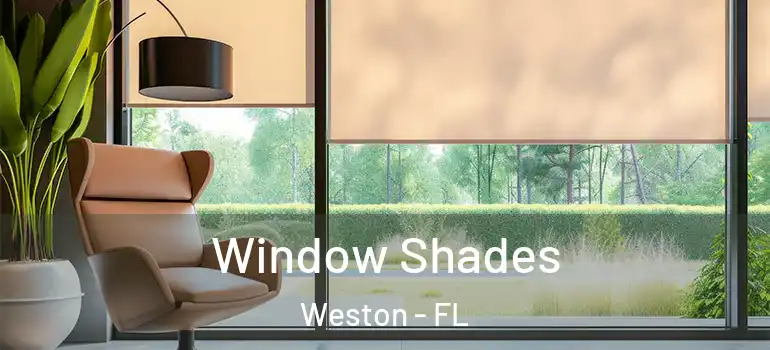  Window Shades Weston - FL